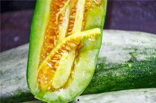 吃瓜最近网红是谁,揭秘近期吃瓜界新宠 第3张 吃瓜最近网红是谁,揭秘近期吃瓜界新宠 第3张